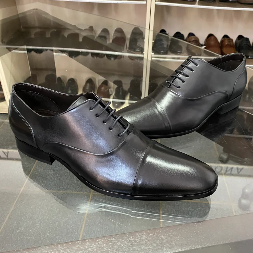 Palladino1200x1200 (2)